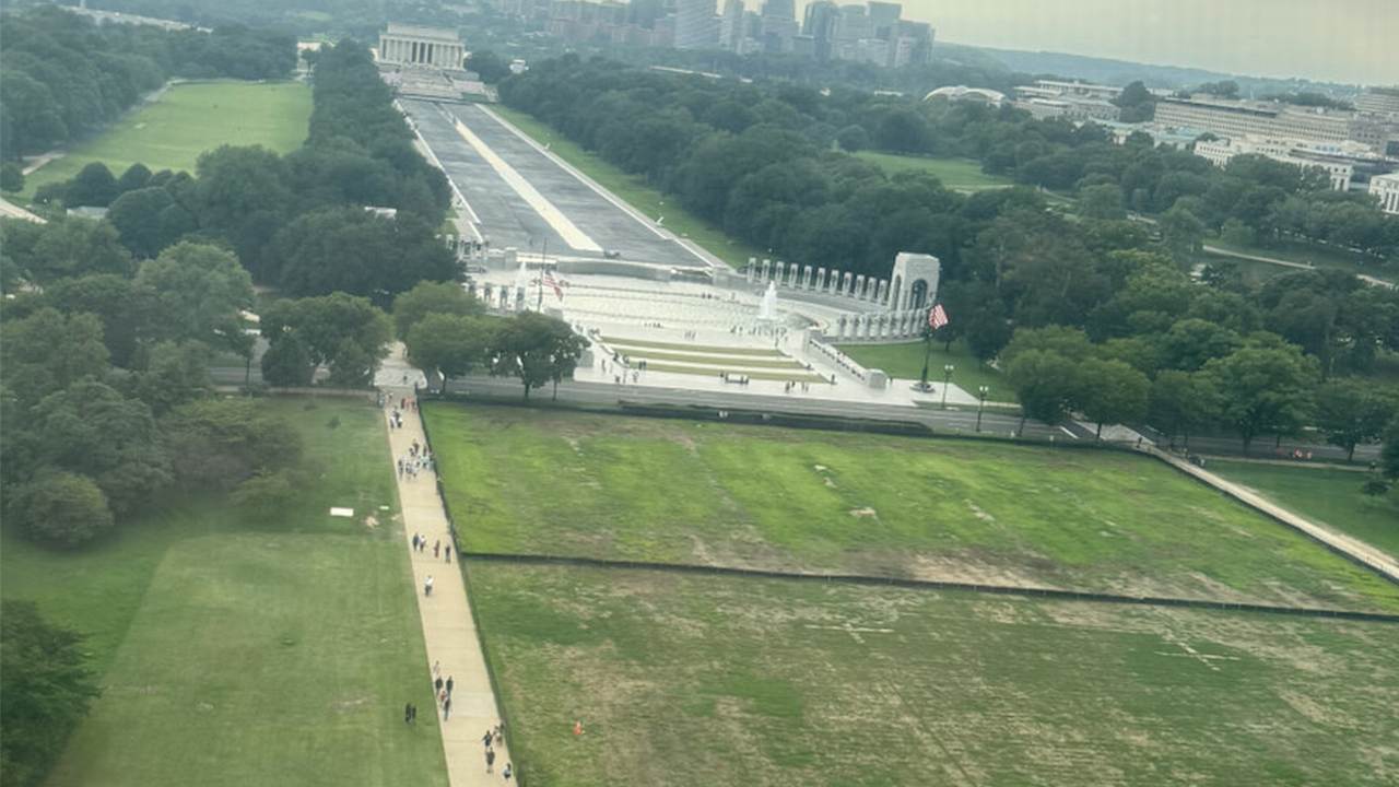 Trump alleges that vandals harmed the grass on the National Mall where the July 4 event took place.