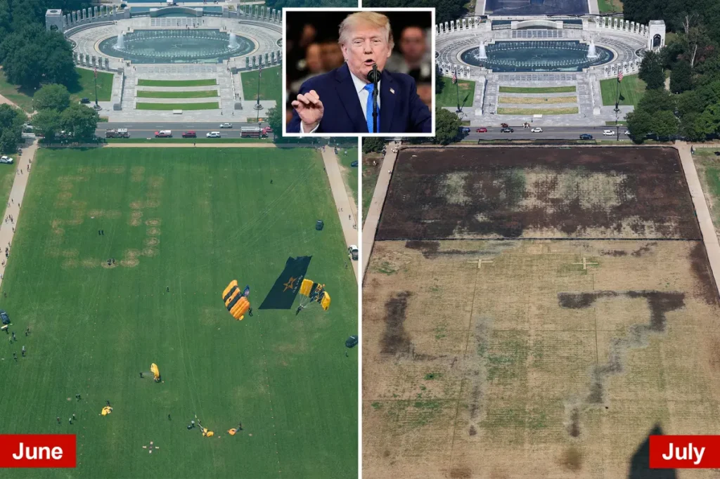 Trump attributes dead grass on National Mall to vandals after his 4th of July event.