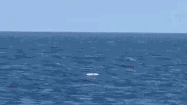 Ukrainian drone strike on Novorossiysk interrupts Russian grain shipments