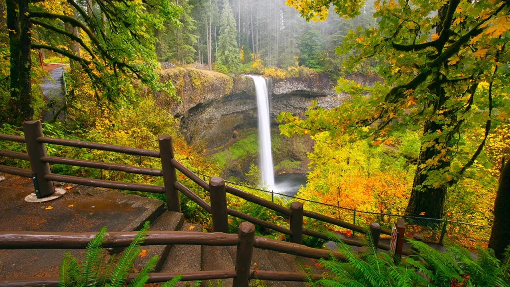 Visitor dies after falling 177 feet at Silver Falls State Park in Oregon
