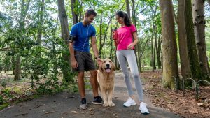 a regular companion may help you live longer and reduce the chances of premature death