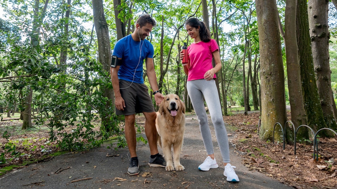 a regular companion may help you live longer and reduce the chances of premature death