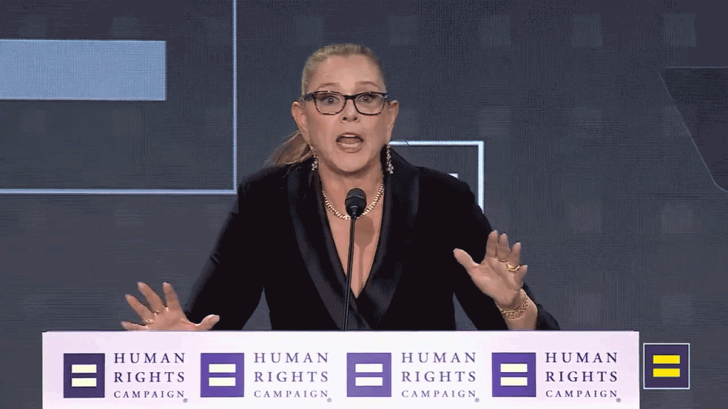 Actress Camryn Manheim expresses concerns about her straight son at HRC event