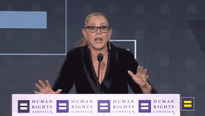 Actress Camryn Manheim expresses concerns about her straight son at HRC event