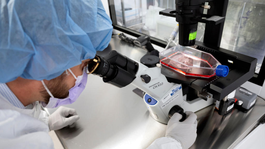 AI in healthcare improves melanoma treatment and repurposing of drugs