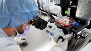 AI in healthcare improves melanoma treatment and repurposing of drugs