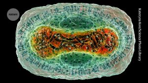 AlphaFold gains popularity: database includes protein complexes of common viruses