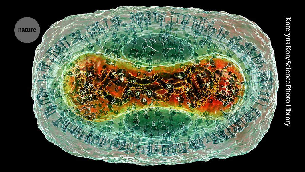 AlphaFold gains popularity: database includes protein complexes of common viruses