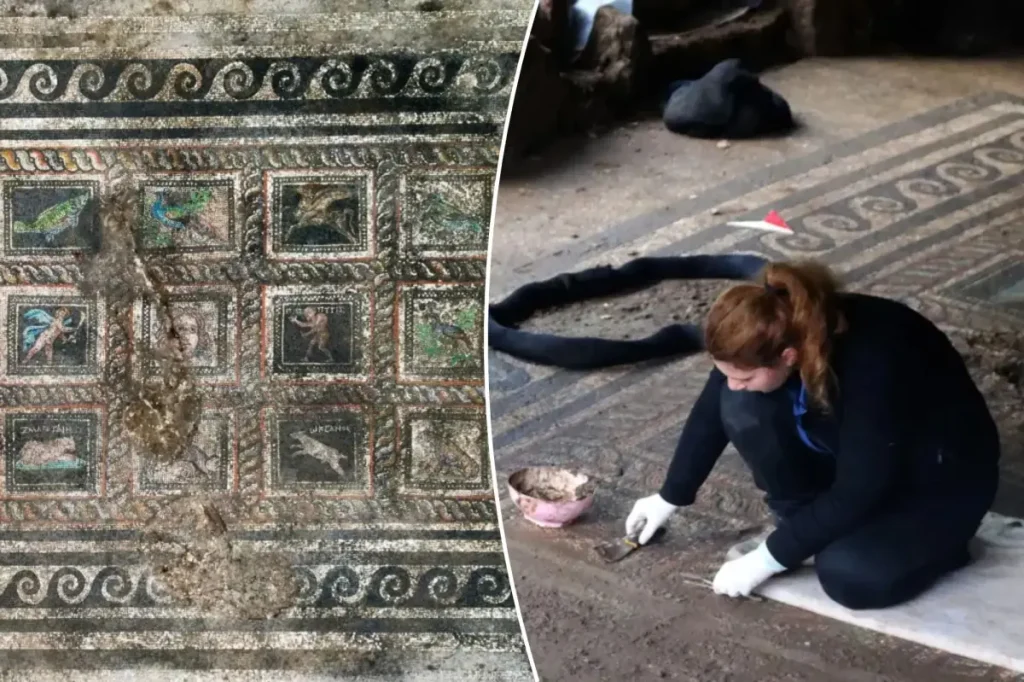 Ancient villa in Turkey uncovers Roman mosaic that displays names of a family's pet cat and dog