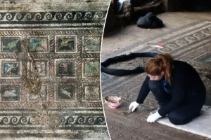 Ancient villa in Turkey uncovers Roman mosaic that displays names of a family's pet cat and dog