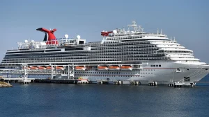 Carnival Cruise Line verifies that a passenger jumped off the Panorama ship