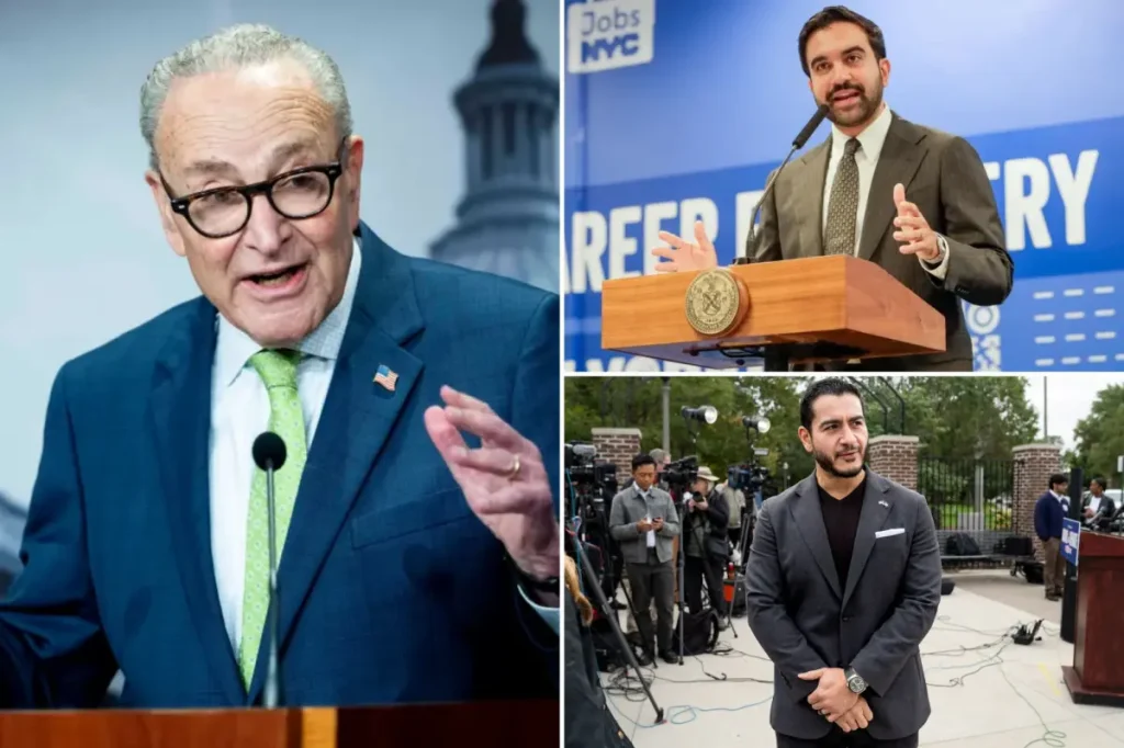 Chuck Schumer's meaning of 'antisemite' might encompass Mamdani and Senate candidate El-Sayed