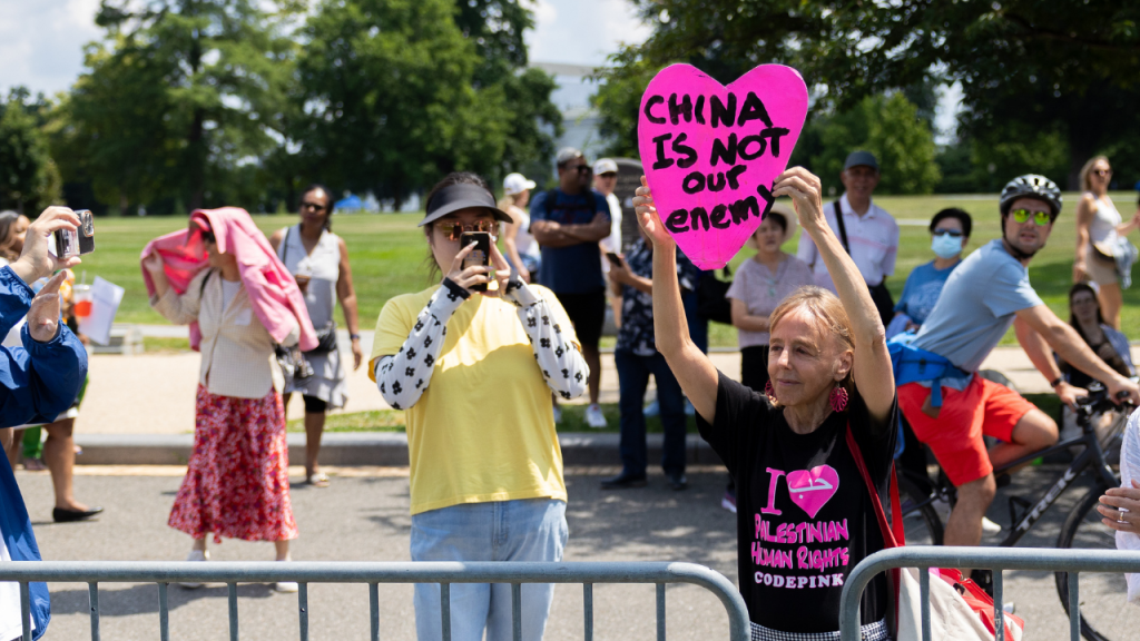 CodePink co-founder Medea Benjamin removed from hearing on foreign influence