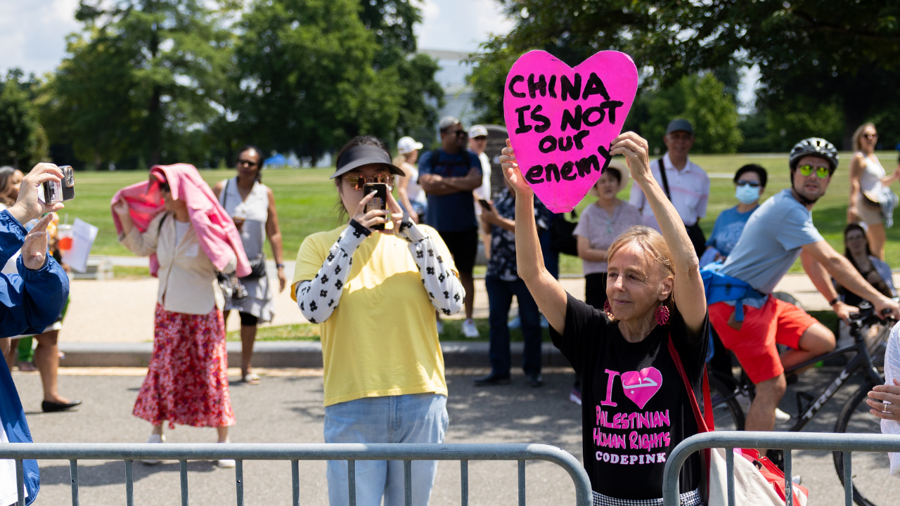 CodePink co-founder Medea Benjamin removed from hearing on foreign influence