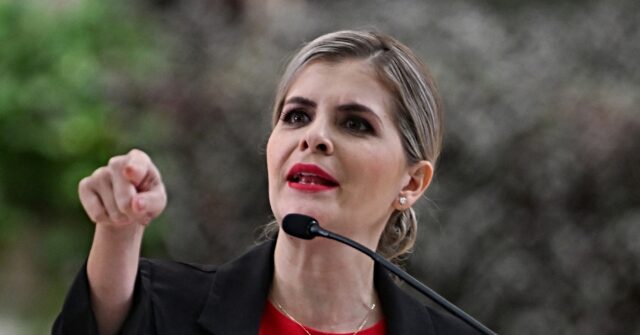 Costa Rica's President Fern&aacute;ndez claims that U.S. ground troops would enhance national security.