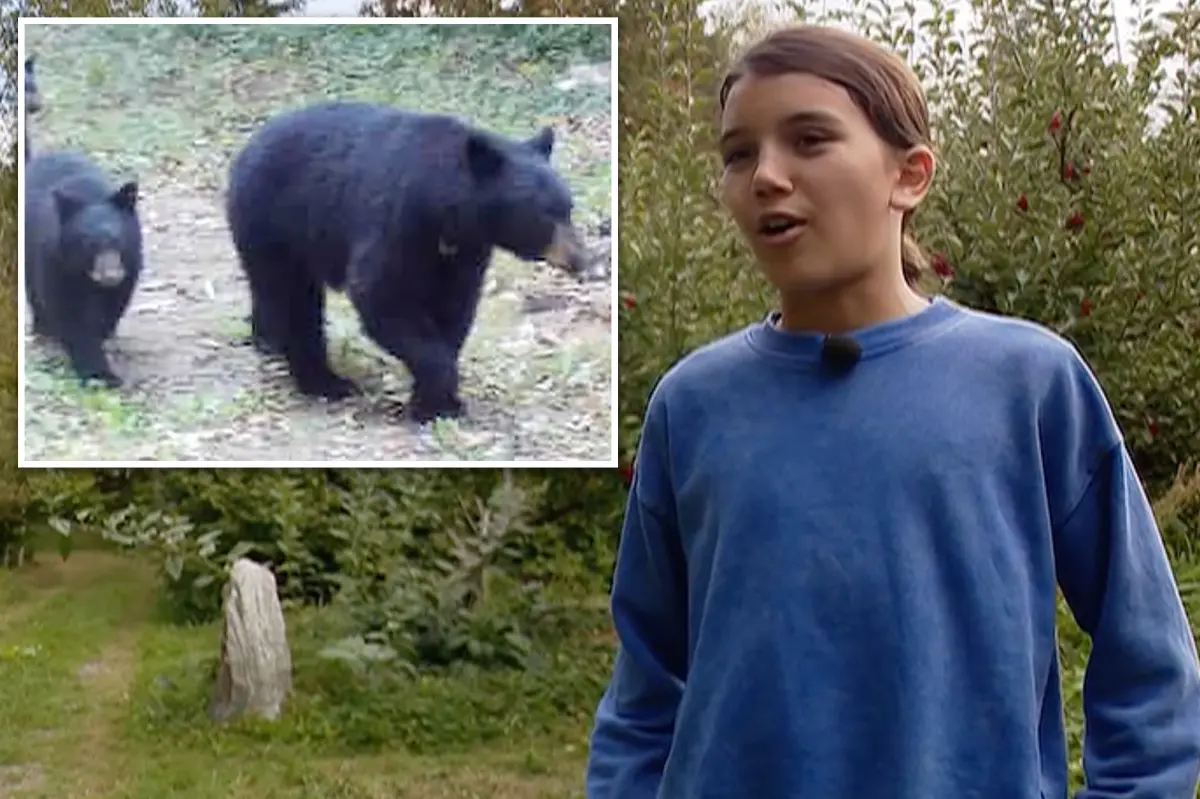 Courageous 12-year-old defended himself against an aggressive black bear in his backyard: 'It was fight or die'