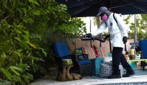 Dengue fever surge leads three counties to announce emergencies