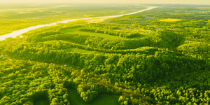 EPA ready to reverse some exaggerated claims about carbon emissions