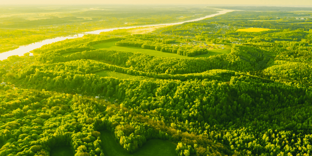 EPA ready to reverse some exaggerated claims about carbon emissions
