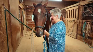 Farmers providing overnight accommodations to boost income as new grants are introduced