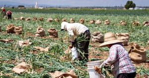 Federal Charges: Labor Traffickers Exploited Foreign Workers Through H-2A Visa Program