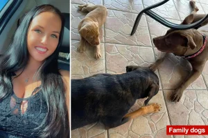 Florida mother alleged to have engaged in sexual activity with her dog asserts she was set up by a spiteful former partner.