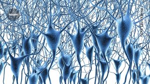 Groundbreaking map of gene activity in the human brain offers insights into Alzheimer’s disease and beyond
