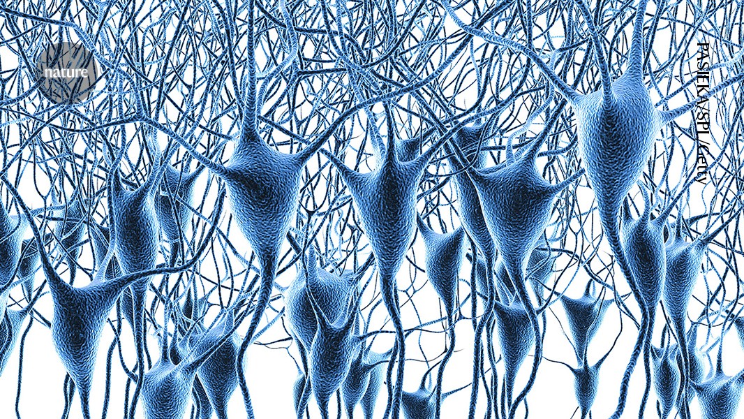 Groundbreaking map of gene activity in the human brain offers insights into Alzheimer’s disease and beyond