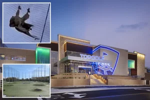 High Topgolf nets are harming birds, say animal activists