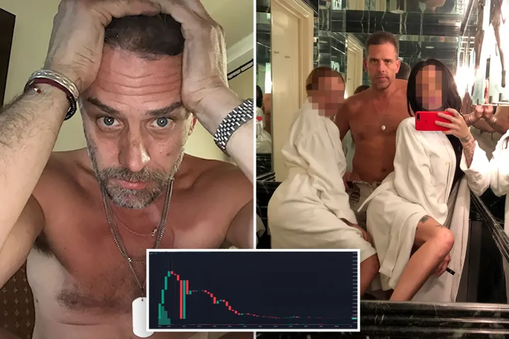 Hunter Biden's meme coin disappointed 80% of buyers, while one unknown trader made $1M.