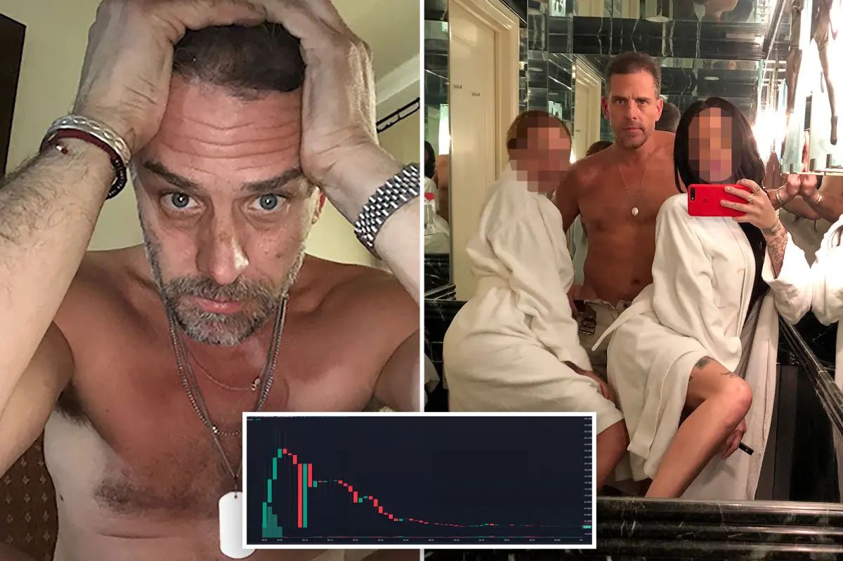 Hunter Biden's meme coin disappointed 80% of buyers, while one unknown trader made $1M.