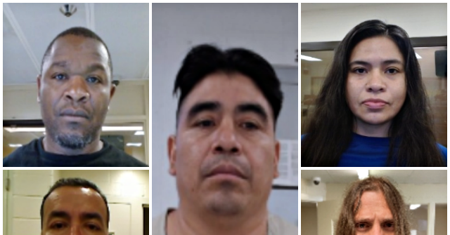 ICE Removes Undocumented Individuals Convicted of Child Sex Offenses and Domestic Violence