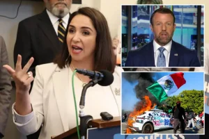 Illinois Rep. Delia Ramirez criticized by Trump administration for the most 'extreme' plan aimed at ICE to date