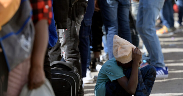 Investigation Reveals California's $11B Hidden Welfare System for Undocumented Immigrants