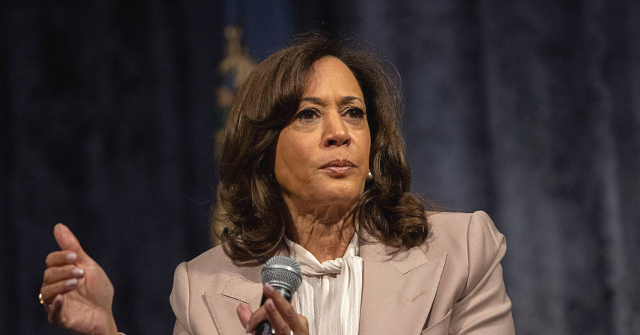 Kamala Harris Addresses Attack on Ohio Democrat Amy Acton: 'Political Violence Is Unacceptable in Our Country'