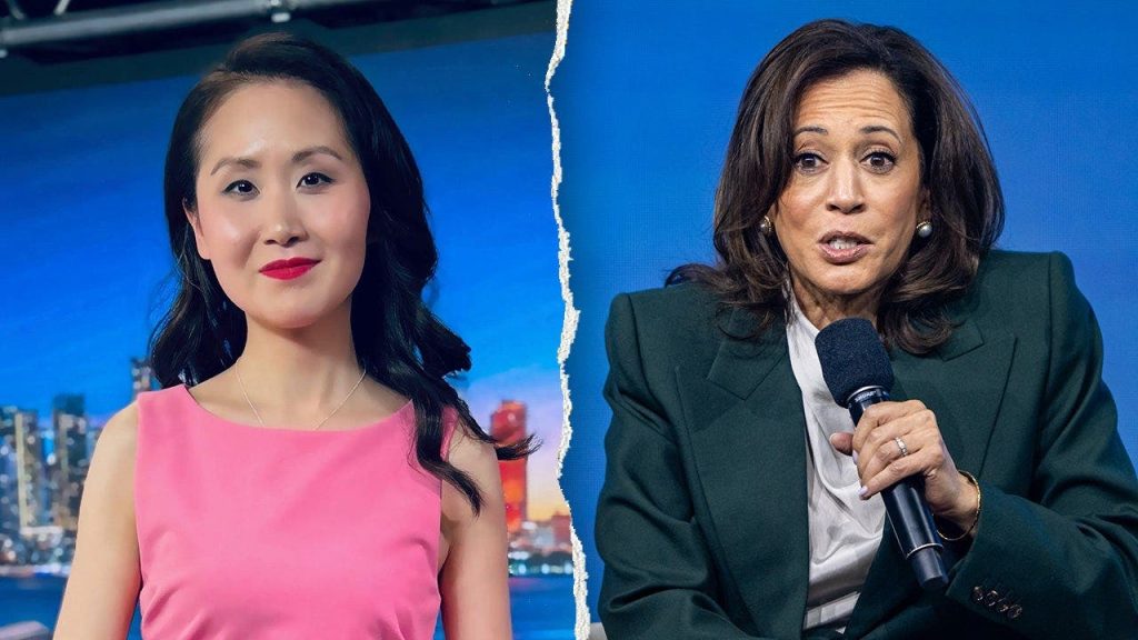 Kamala Harris quietly sought support from Biden's donors, former fundraiser says