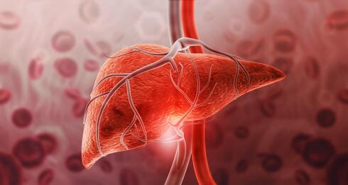 Keto diet reduces liver fat by 67% and enhances blood sugar, research shows