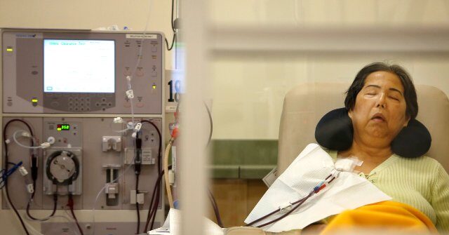 Man Survives for 9 Months with a Pig Kidney While Awaiting a Human Donor
