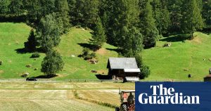 Microplastics in soil present a worldwide danger by functioning like a 'Trojan horse' to carry toxins.