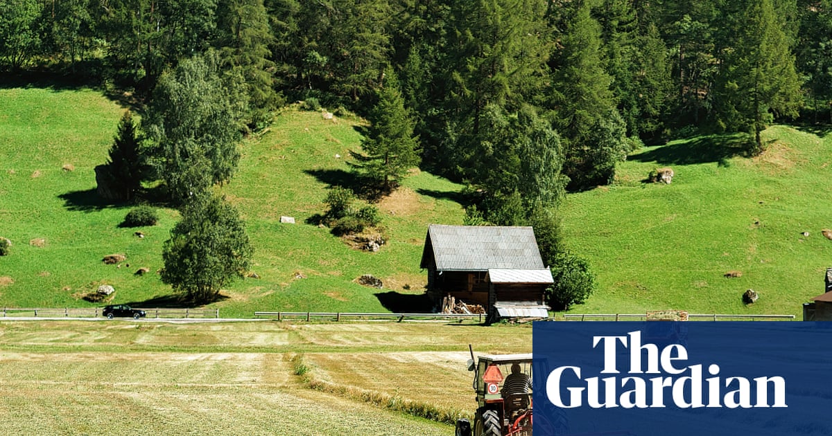 Microplastics in soil present a worldwide danger by functioning like a 'Trojan horse' to carry toxins.