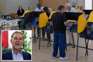 Netflix co-founder Reed Hastings makes a significant donation to eliminate California voter ID laws