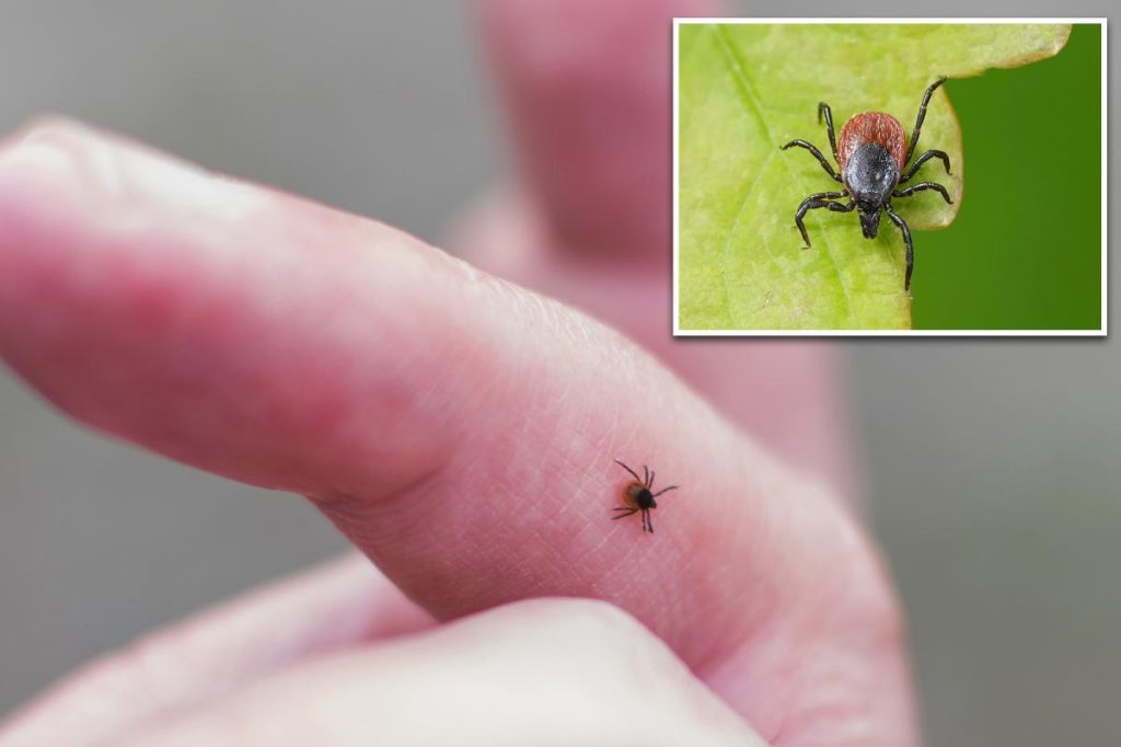 New virus carried by ticks found in China that can lead to flu-like symptoms