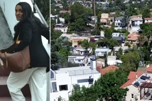 Nithya Raman's proposal to tear down a historic $2 million home in Silver Lake for a three-story construction
