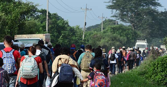 Number of Foreign-Born Residents Decreases by 2.9 Million During Trump Administration Policies