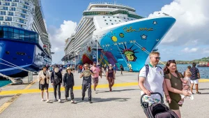 Opinions divided on cruise elevator manners for luggage during peak travel days