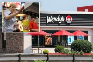 Owner of numerous Wendy's franchises declares bankruptcy -- latest victims in the competition among burger giants