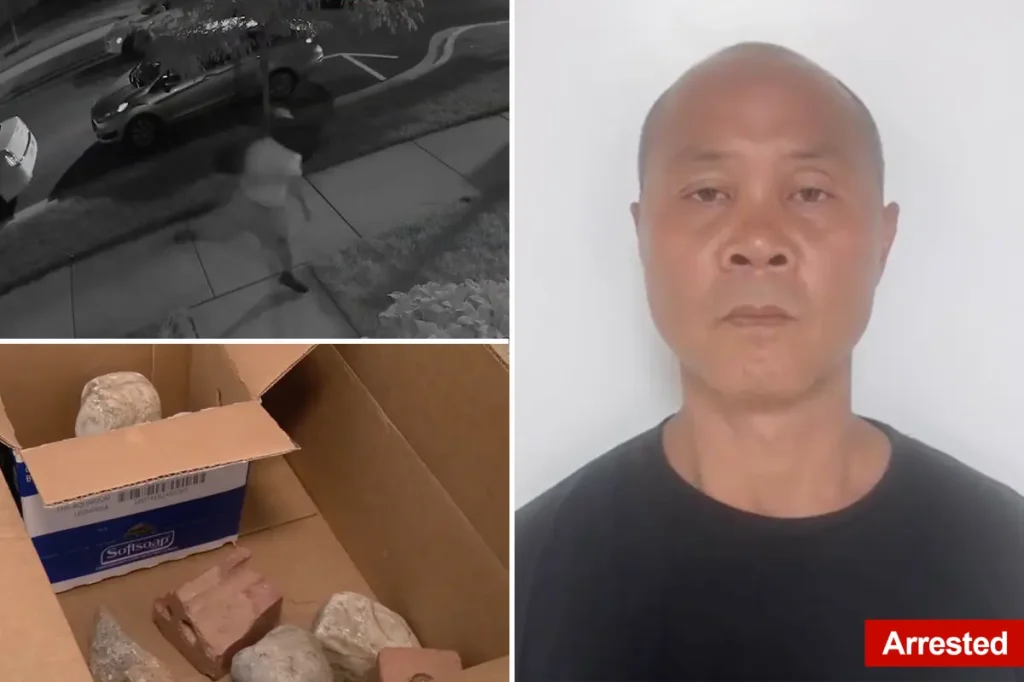 Person jailed for allegedly frightening suburban Maryland communities, causing extensive damage.