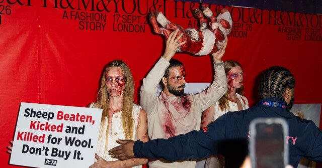 PETA Activists Disrupt H&M Fashion Show in London