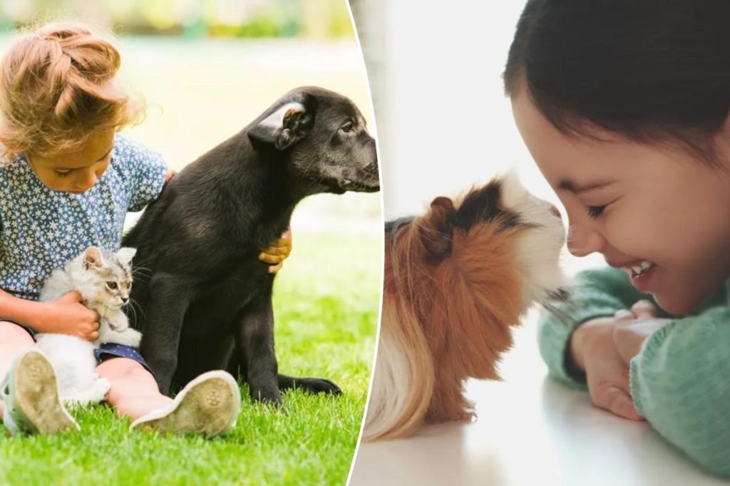 Pets benefit children's mental health, except for one that has negative effects.