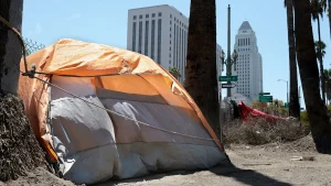 Rep. Cloud states that LA homelessness funding benefits programs rather than individuals.